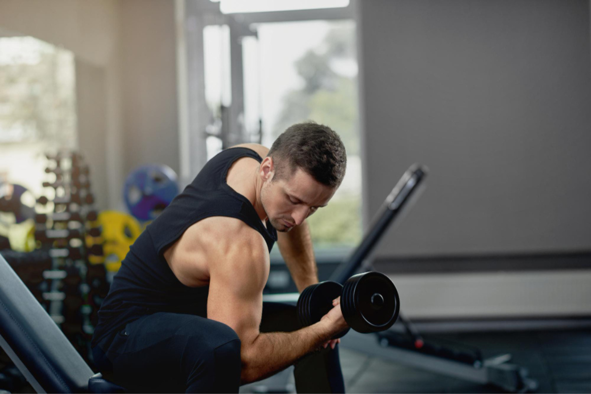 academia para iniciantes ganhar massa